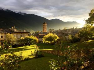 La Rosa al Roseto del Drago