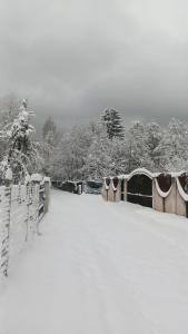 ART House Transylvania , Valea Avrigului , Sibiu