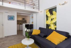 Pomet Superior Studio