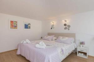 Pomet Superior Studio