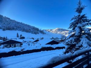 ABRICOT - Appartement dans chalet avec terrasse et vue montagnes - Garage