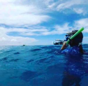 Island Villas - Lady Musgrave - Unit 1