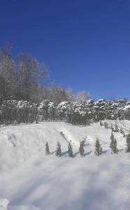 Lochówka - zaciszny domek w górach