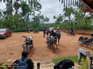 Estate villa homestay