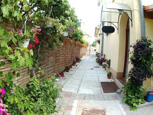 Vila Fortuna - Art OClock