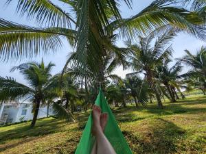 The Coco Journey - Villa