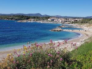 Appartements T3 Climatise avec Wi-Fi, Parking, Piscine et Tennis - 200 m des Plages et Commerces - FR-1-316-95 : photos des chambres