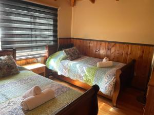 Aparamentos Los Notros Neltume Huilo Huilo