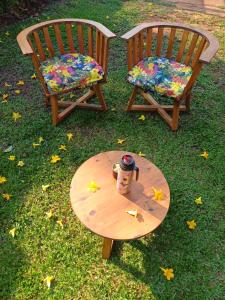 Orquídeas De La Selva