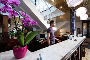 Hotels Hotel Helianthe : photos des chambres