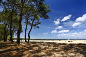 Appartements Biscarrosse T2 avec terrasse 4 couchages : photos des chambres