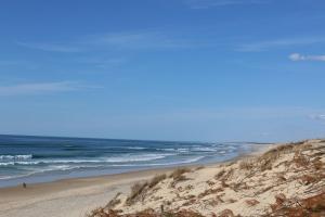 Appartements Biscarrosse T2 avec terrasse 4 couchages : photos des chambres