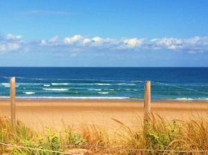 Appartements Biscarrosse T2 avec terrasse 4 couchages : photos des chambres