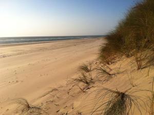 Appartements Biscarrosse T2 avec terrasse 4 couchages : photos des chambres