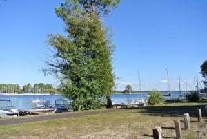 Appartements Biscarrosse classe 2 etoiles proche Latecoere : photos des chambres