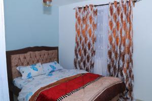 ICIPE road roysambu wangechi court fully furnished apartment