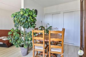 Appartements Biscarrosse Bourg T3 residence avec piscine : photos des chambres