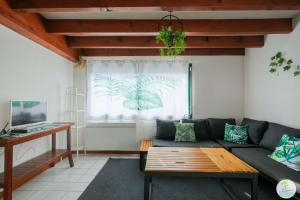 Biscarrosse Bourg Appartement avec terrasse classé 1 étoile pour 4 personnes