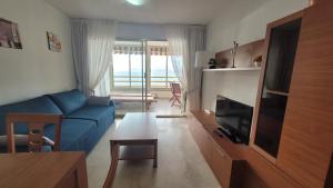 Don Miguel 1-Fincas Benidorm