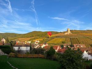 Sur la Route des Vins- très proche Colmar