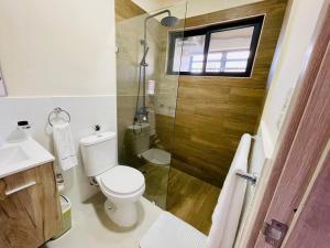 Downtown Punta Cana luxuryVilla