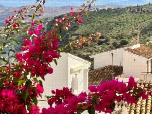 Casas la Vista B - 卡萨拉博内拉