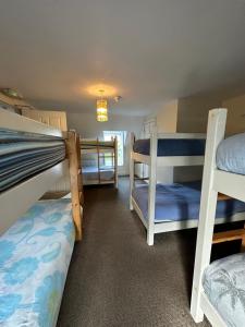 Single Bed in Dormitory Room room in The Grapevine Hostel