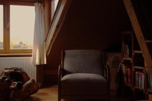 Šumska 1 - Fruška gora