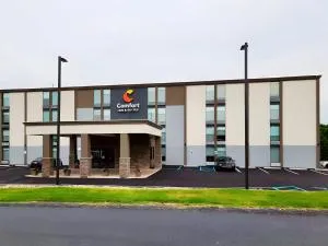 Comfort Inn & Suites Wyomissing-Reading - 波茨敦