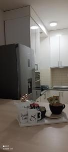 Yasmin Apartment (Pozega in Serbia)