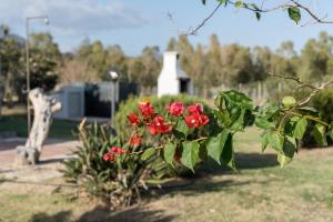 Villa Sa Mela 28 img24