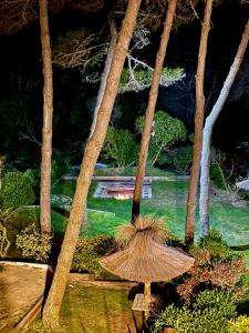 Jaina Resort & Spa