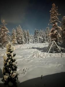 Arctic Circle Home for Winter Holiday