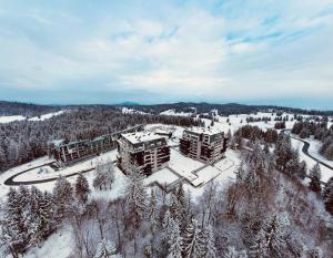 Silver Mountain, Poiana Brasov - Forest Crib