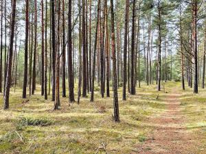 4 star holiday home in YNGSJÖ-By Traum