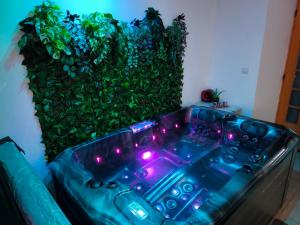 Maisons de vacances Les Secrets d'Amandine : photos des chambres