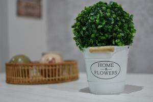 AROMA APARTAMENTO OLVERA