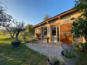 La Sellerie du Figuier - 索恩河畔贝尔维尔