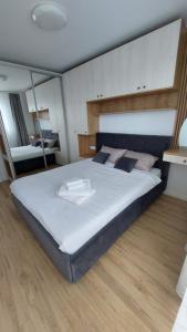 Brasov Noua Holiday Apartament