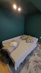 Brasov Noua Holiday Apartament