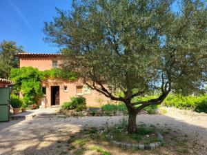 Villas Maison d'artiste African queen : photos des chambres