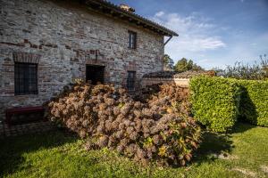 Il Borghetto