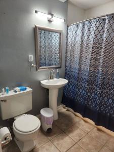 Blue Shark *G15* @ Montrose Private 1BR King Apartment