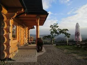 游逸者小屋旅馆 - Jankowa