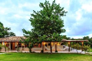 Casas Orixás em Trancoso