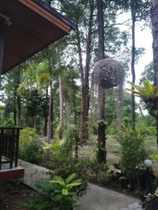 The Sun Long Beach Resort