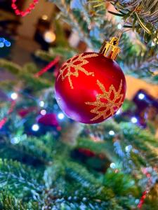 La Balade enchantée- gîte 6 personnes - Ardenne Belge