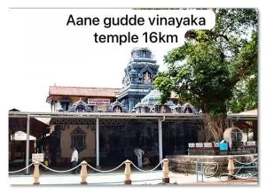 SJ Riviera - Fauna - Baindūru