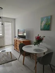 Apartament Londyńska 9a - 乔左维尔考普尔斯基