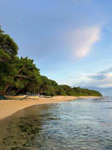 MIRISSA Reef Serenity